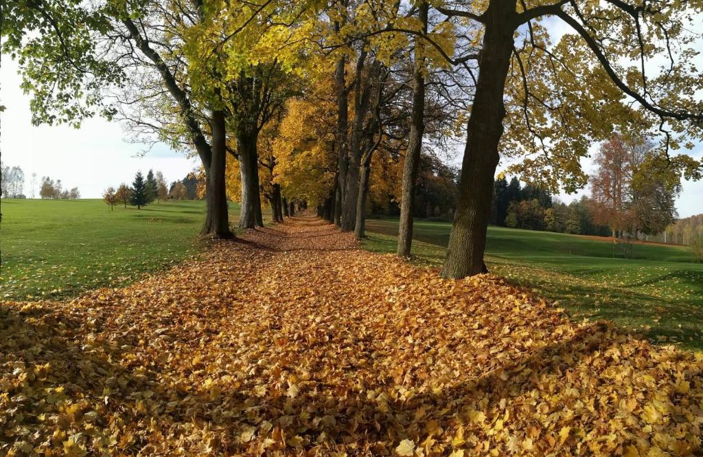 Zahrada ubytování Penzion Golf Luby