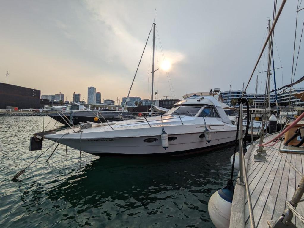 Barcos Magno II Boat en Barcelona, Cataluña