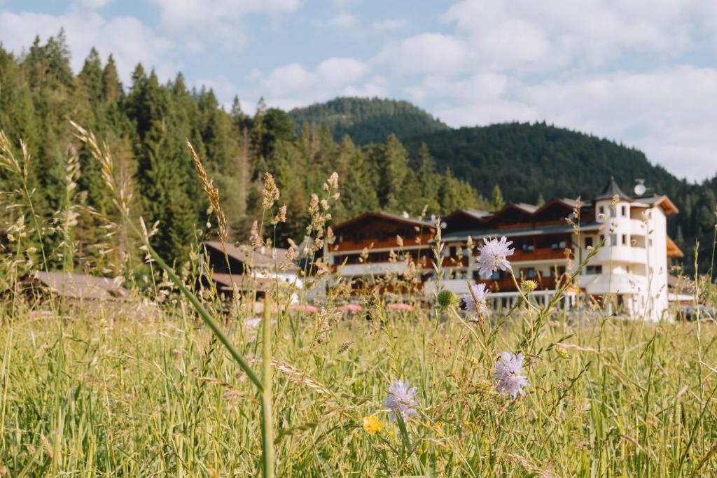 Příroda nedaleko hotelu