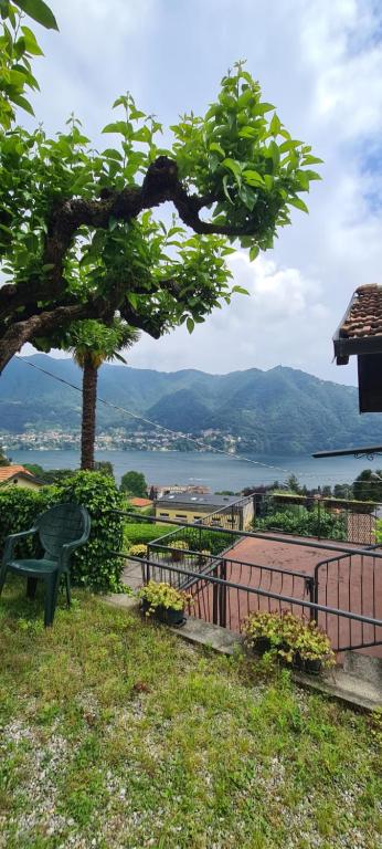 a bench sitting under a tree with a view of the water at Da Ersilia in Cernobbio