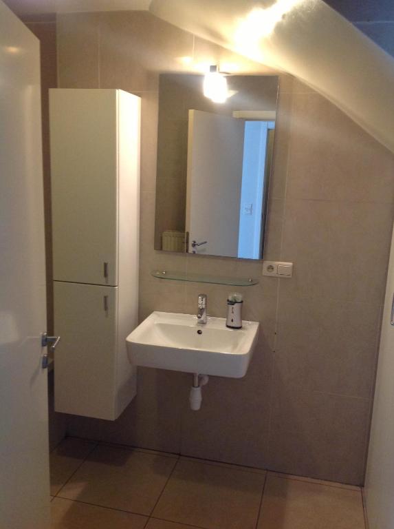 Koupelna v ubytování Apartment Fruithof Tack