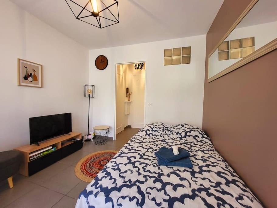 戛纳Cosy Studio à Cannes 8 min de la Croisette的一间卧室，里面有一张床和一台平板电视