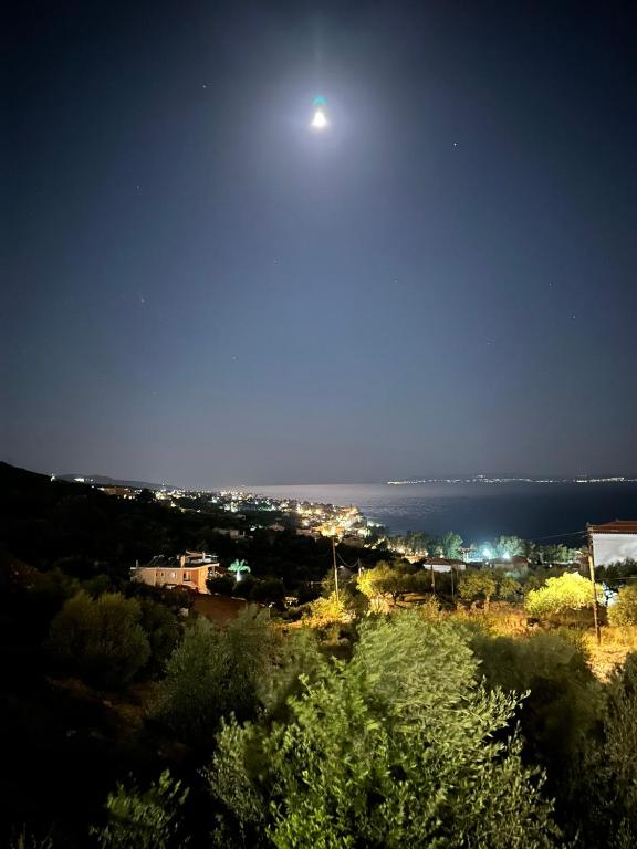 Příroda nedaleko apartmánu