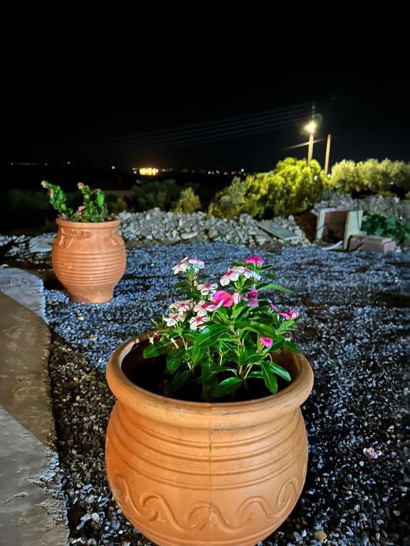 Zahrada ubytování Lithino Rooms Kalamata