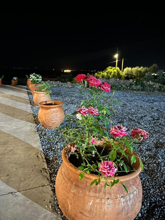 Zahrada ubytování Lithino Rooms Kalamata