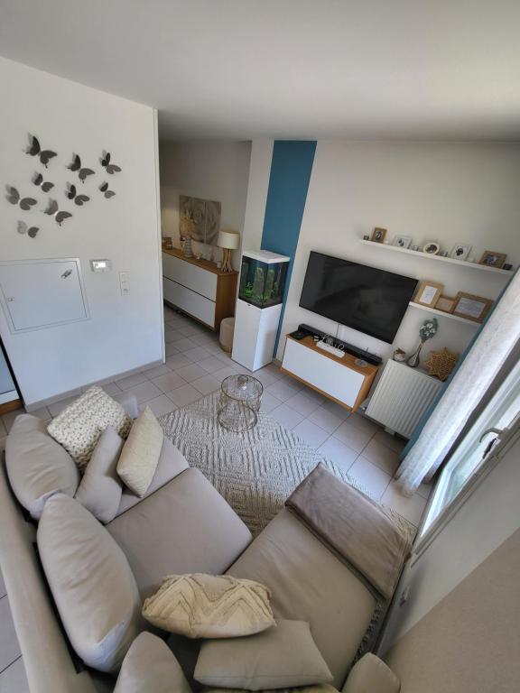 a living room with a couch and a flat screen tv at Superbe T3 Chessy Disney/Paris - Jacuzzi, Jardin, Barbecue, Parking in Chessy