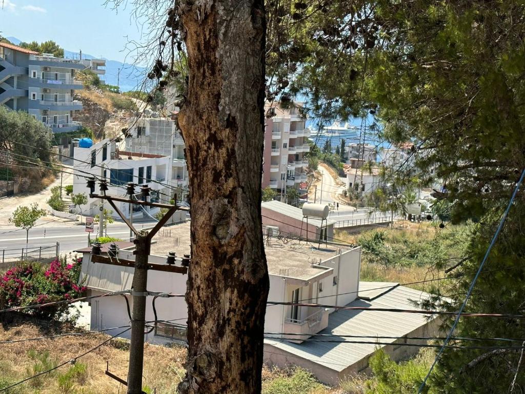 Bledi Apartments - Image 5