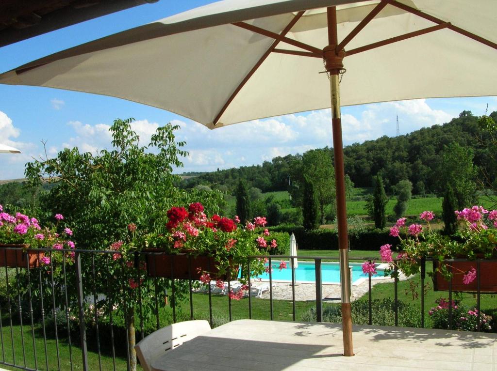 Basen w obiekcie Agriturismo Il Poderino lub w pobliżu