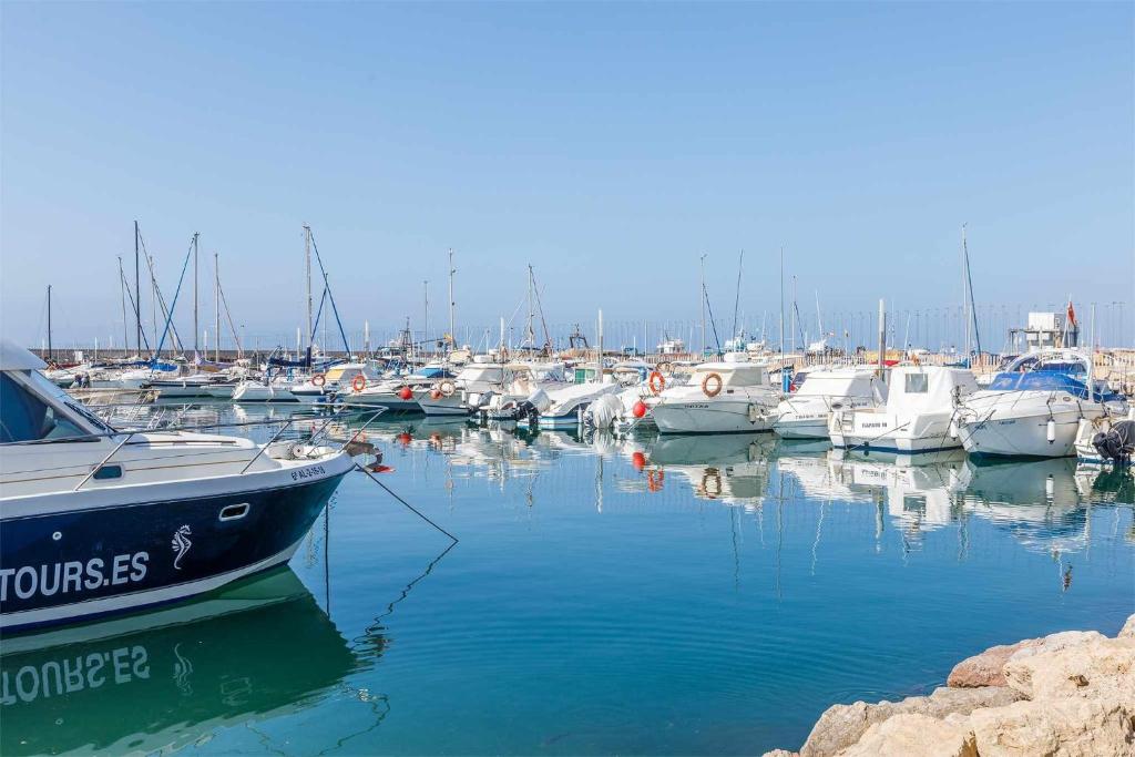 a bunch of boats are docked in a harbor at A&N Caleta de Vélez Marina Retreat in Caleta De Velez