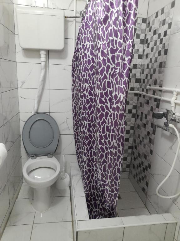 Koupelna v ubytování Apartman Branka