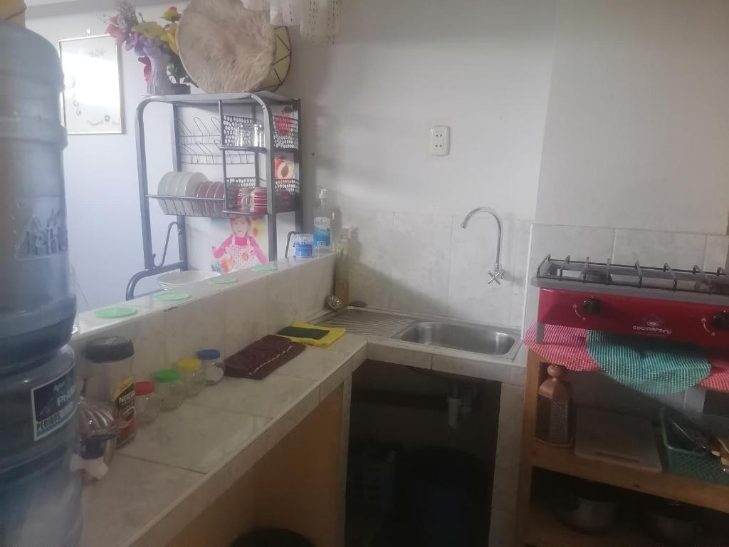 cocina con fregadero y encimera en Apartamento sombras del titicaca, en Puno