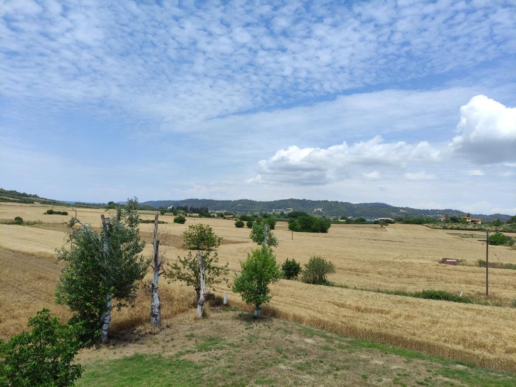 Příroda nedaleko apartmánu