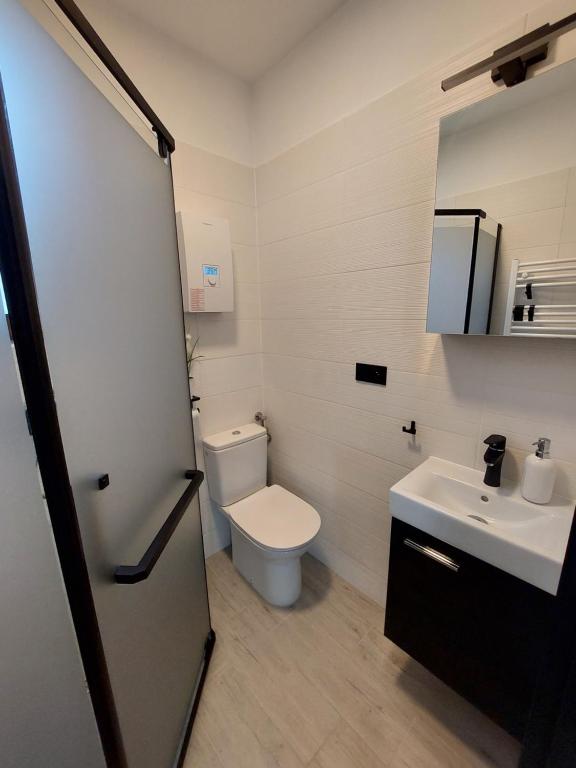 een badkamer met een toilet en een wastafel bij Master Camp Santoczno in Santoczno