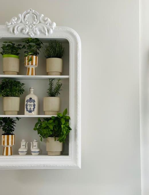 a shelf with potted plants in front of a mirror at Maison Comtale in Rochefort