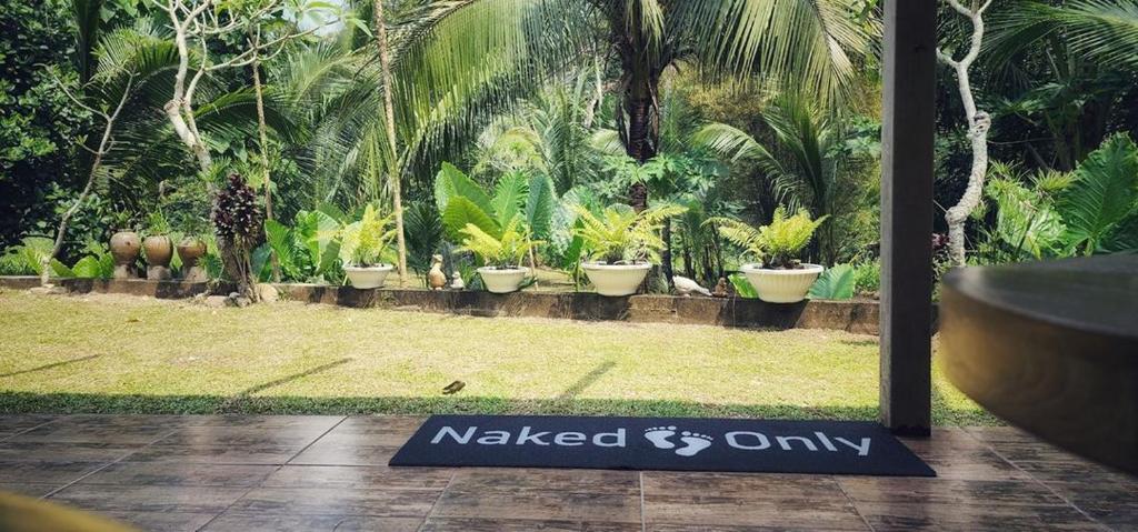 Baan Hinlad Home and Hostel - 9