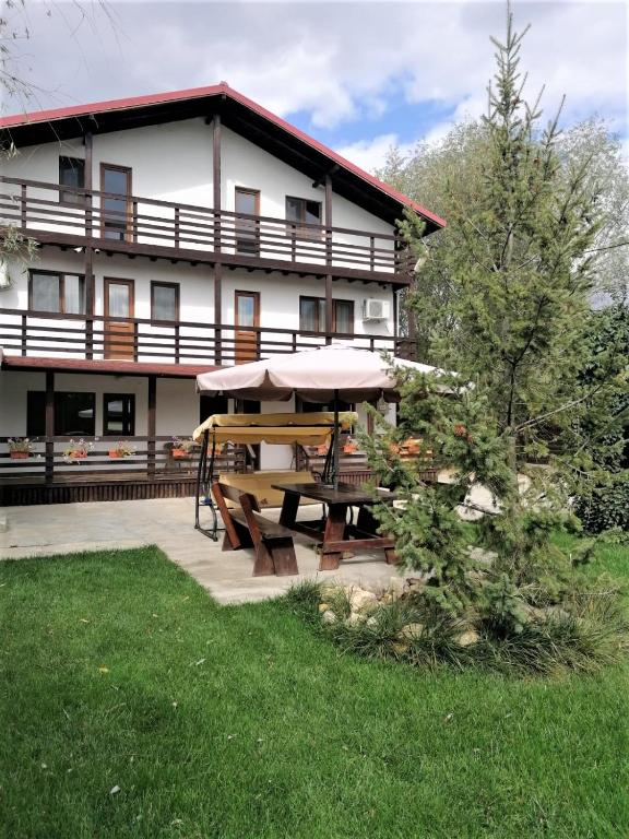 Zahrada ubytování Casa Carp Calarasi