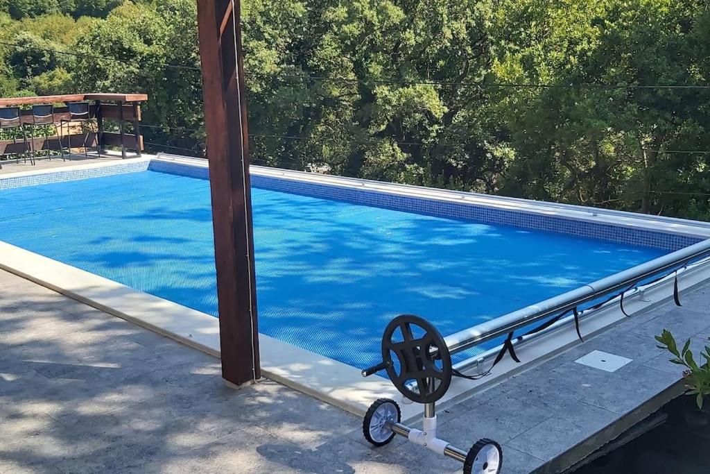 Bazén v ubytování Villa Hedonic nebo v jeho okolí