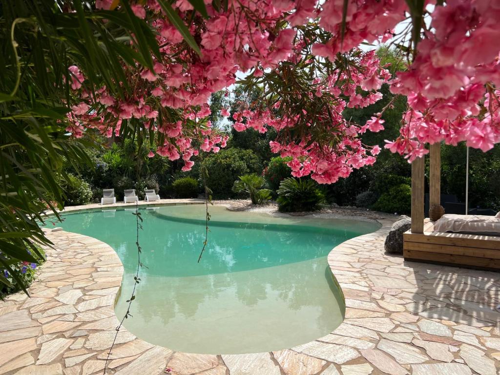 a swimming pool with pink flowers above it at Luxueuse Villa, Hyper centre PORT de PORTO VECCHIO in Porto-Vecchio