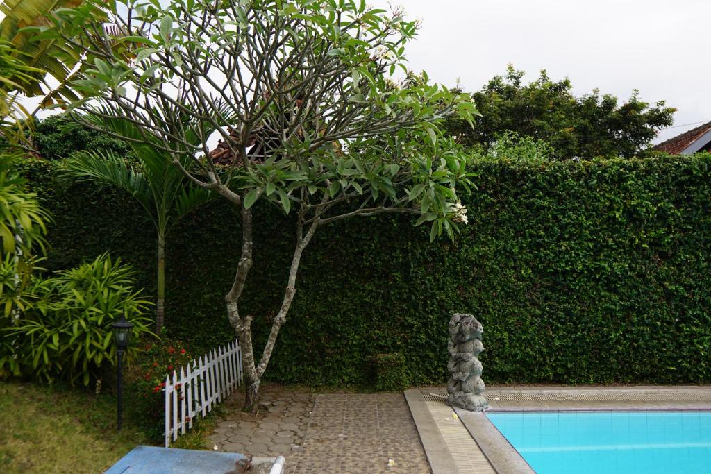 Πισίνα στο ή κοντά στο Hotel Tulips