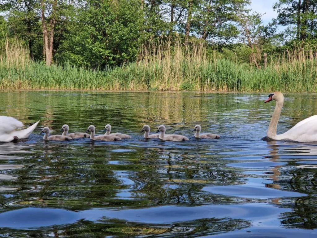 Výhled na řeku, která protéká v blízkosti ubytování na lodi