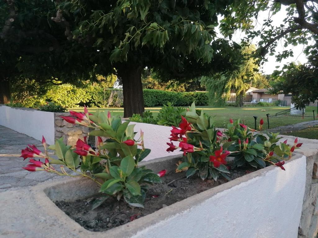 Vonkajšia záhrada v ubytovaní Aux portes de la Camargue
