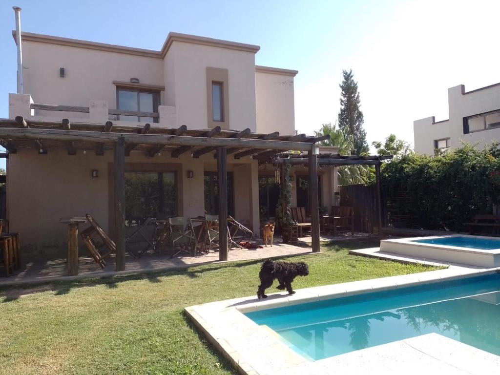 um cão parado num quintal ao lado de uma piscina em HABITACIÓN DOBLE CON BAÑO Y ESTACIONAMIENTO-INDEPENDIENTE EN PB-NO ACEPTA ÚLTIMA HORA-dentro de casa de familia en Barrio Privado--no se aloja huéspedes de Mendoza o Solos-FINDES LARGOS RESERVA MÍNIMA 2 DÍAS- em Maipú