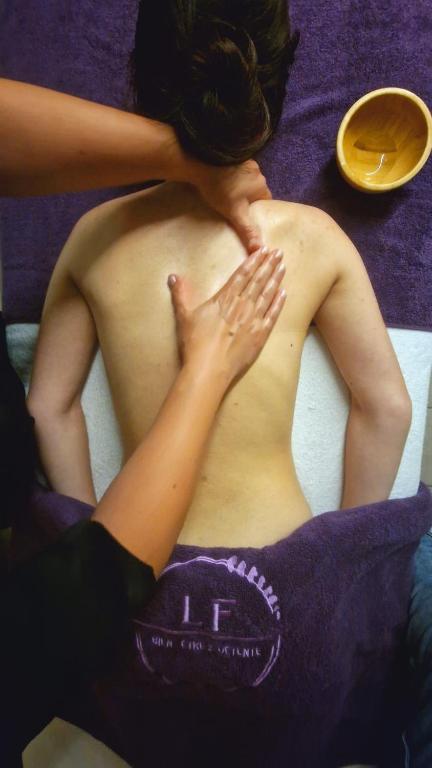 Lázně a/nebo wellness v ubytování Brame de Sologne