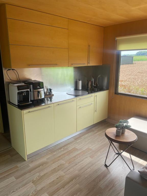 Kuchyň nebo kuchyňský kout v ubytování BIG BERRY Kolpa - Isabella Premium House