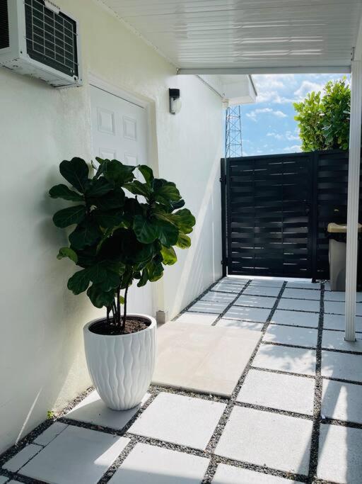 Balkón nebo terasa v ubytování Alma Guest Suite