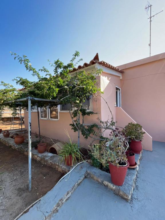 a house with potted plants in front of it at Harry's House in Elafonisos