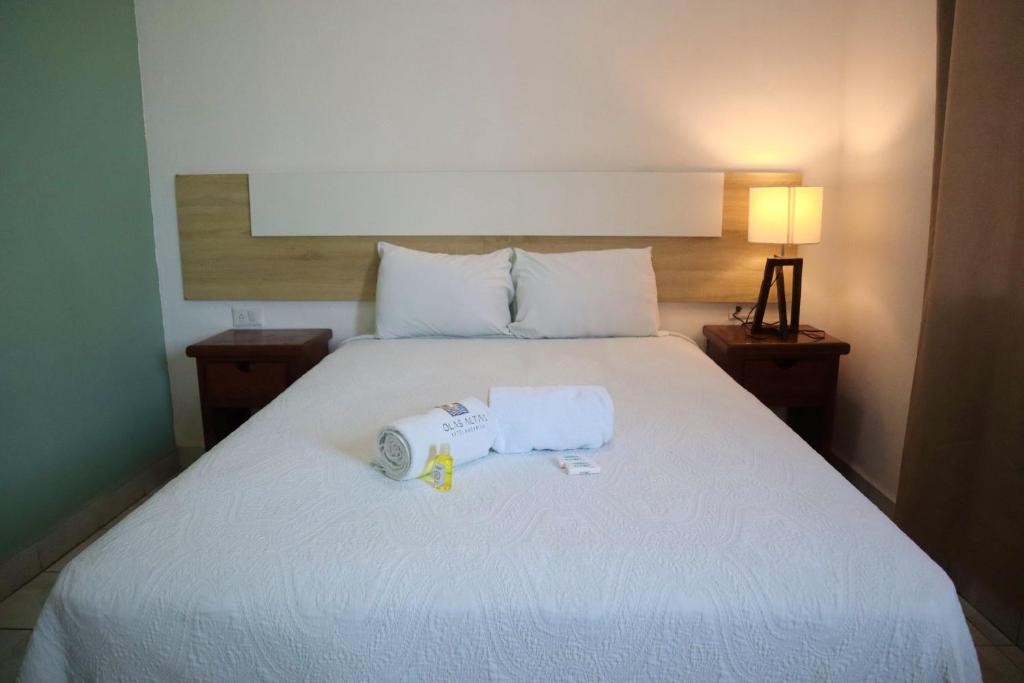 HOTEL OLAS ALTAS BUCERIAS - Budget Tweepersoonskamer