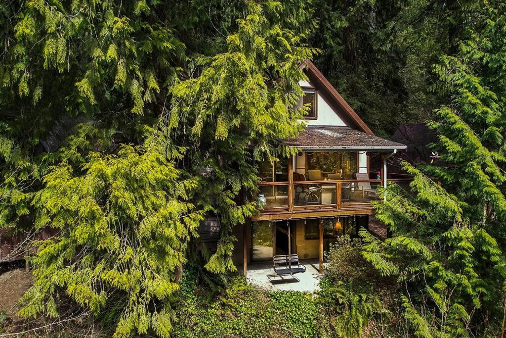 a house in the middle of a forest with trees at Chase's River Cabin in Granite Falls
