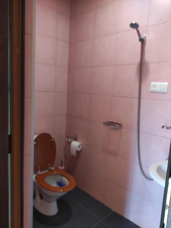 Koupelna v ubytování Valdi Guest Shekvetili