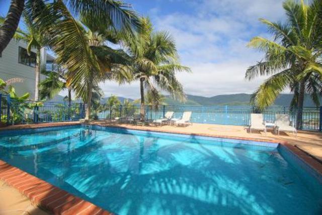 a large blue swimming pool with palm trees and the ocean at Coral Point Lodge in Shute Harbour