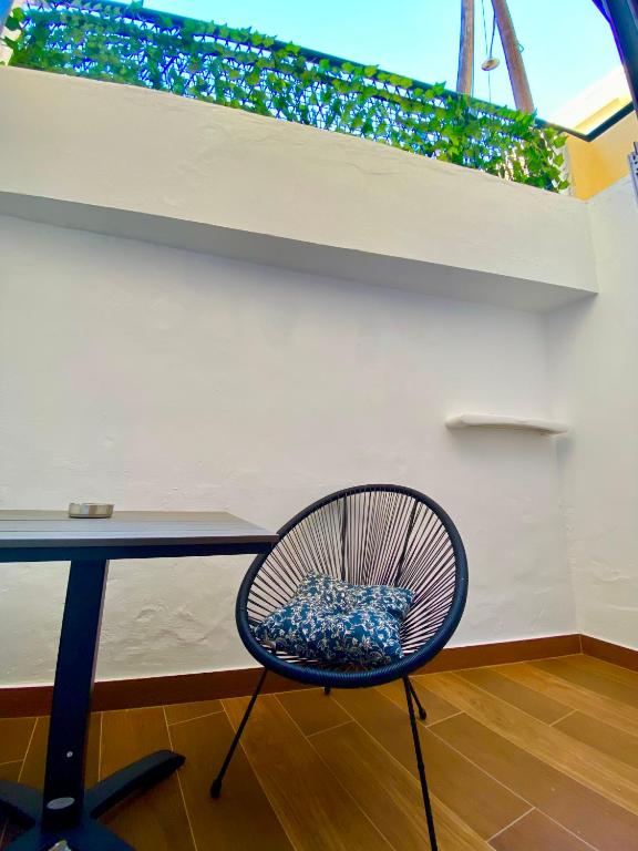 Sunshine Cozy Central Studio Basement - 13