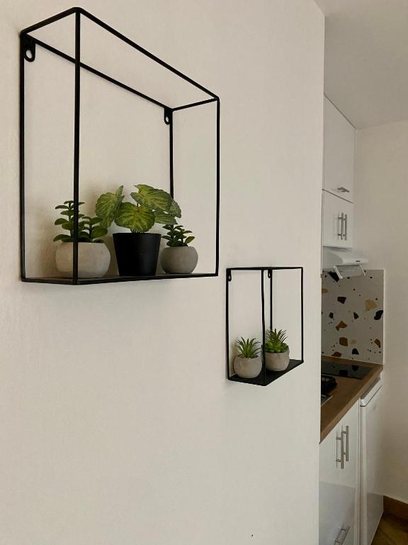 Sunshine Cozy Central Studio Basement - 7