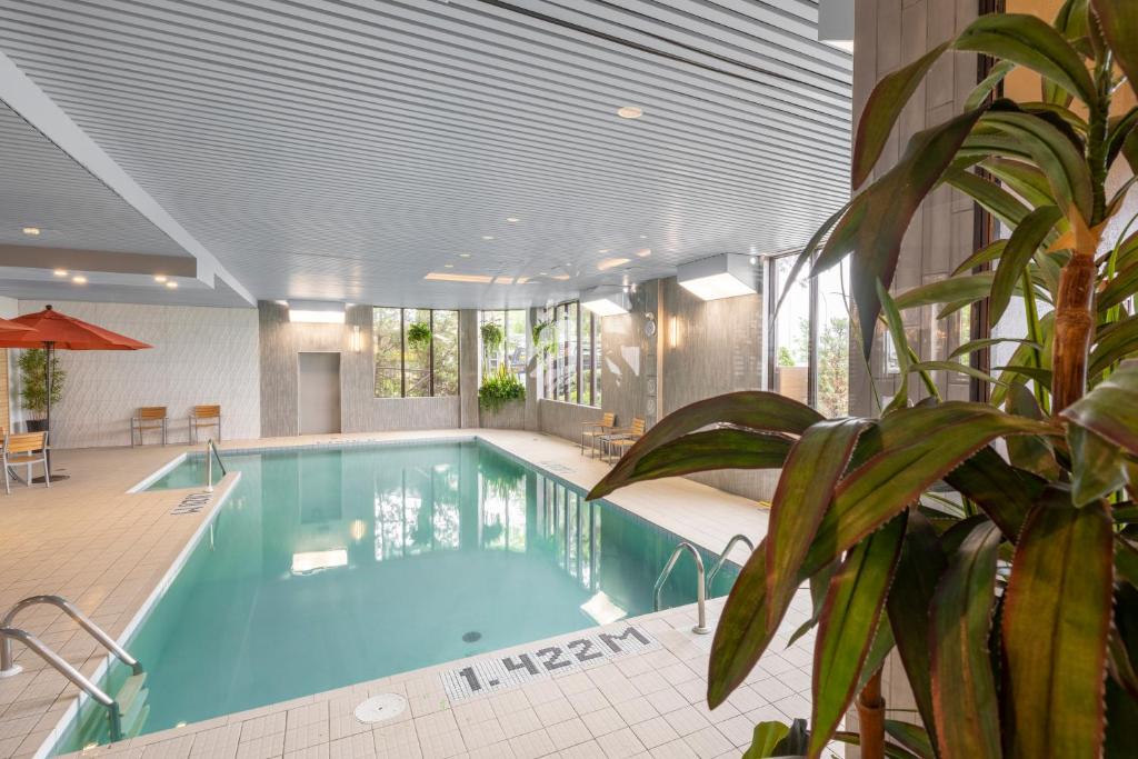 a pool in a hotel with a plant in the foreground at Hôtel WelcomInns in Boucherville