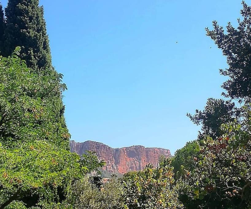 - une vue sur le grand canyon entre les arbres dans l'établissement Charmant Rez de Villa climatisé rénové, 90m2 avec parking, à Cassis