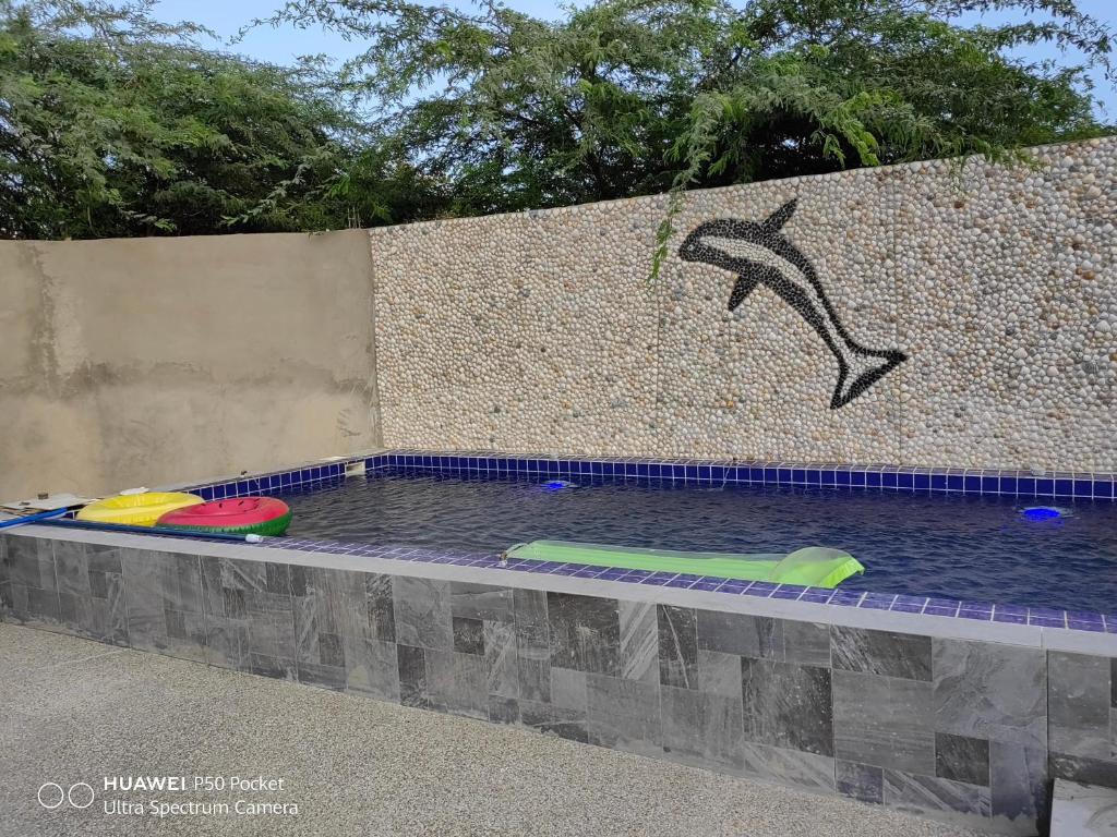 2 frisbees dans une piscine à côté d'un mur dans l'établissement SWEET HOME YENNE, à Rufisque