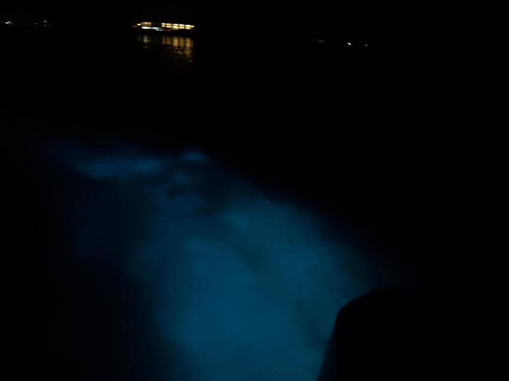 a foggy night on the water at night at Spring Top Cottage in Falmouth