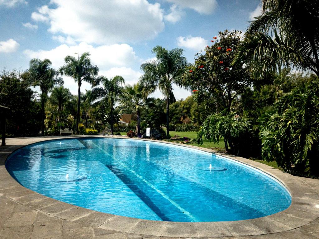 une grande piscine bleue avec des palmiers en arrière-plan dans l'établissement Hotel Camino del Bosque Atlixco by Rotamundos, à Atlixco