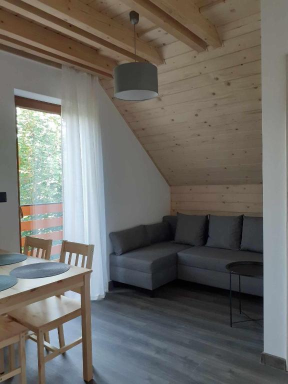 Agroturystyka Jagodowa Róża - Maria Farganus - Appartement D'une Chambre