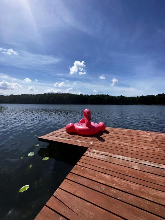 Red inflatable flamingo on a wooden dock by the lake.