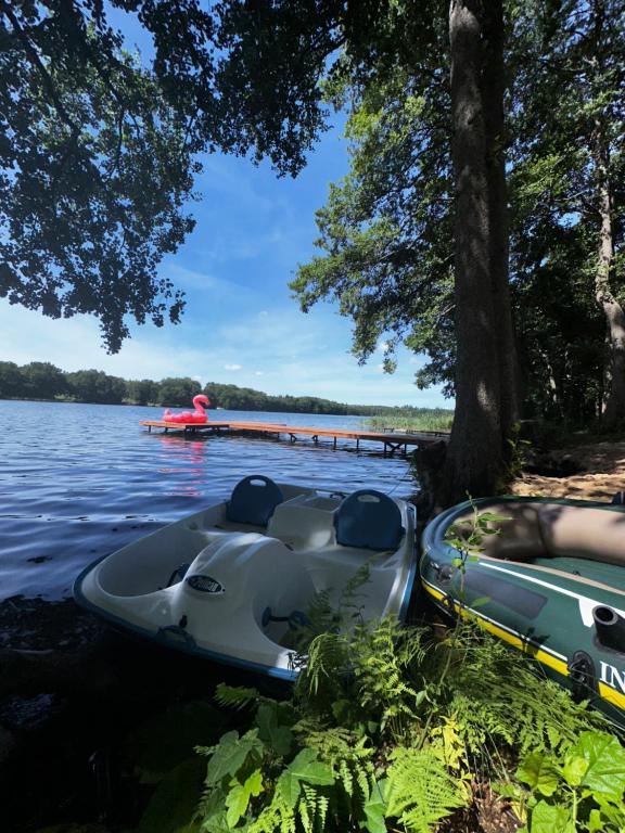 Boats by a lake with a dock and inflatable flamingo.