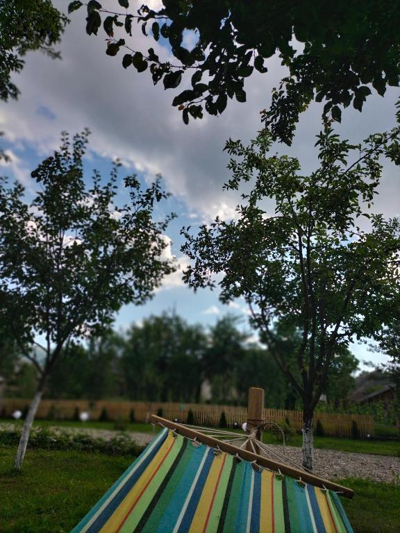 a colorful hammock in a park with trees at A frame Sima in Breb