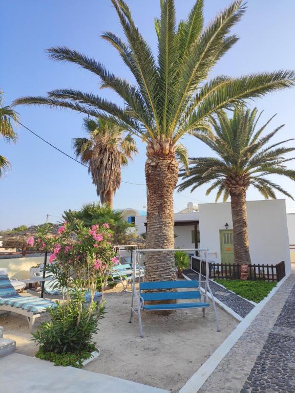 a row of chairs and palm trees on a beach at Palm Studios in Perissa