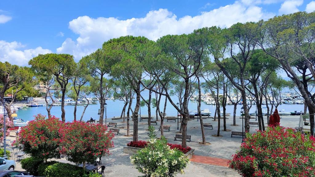 a park with benches and trees next to a body of water at UN BALCONE IN PINETA in Fezzano