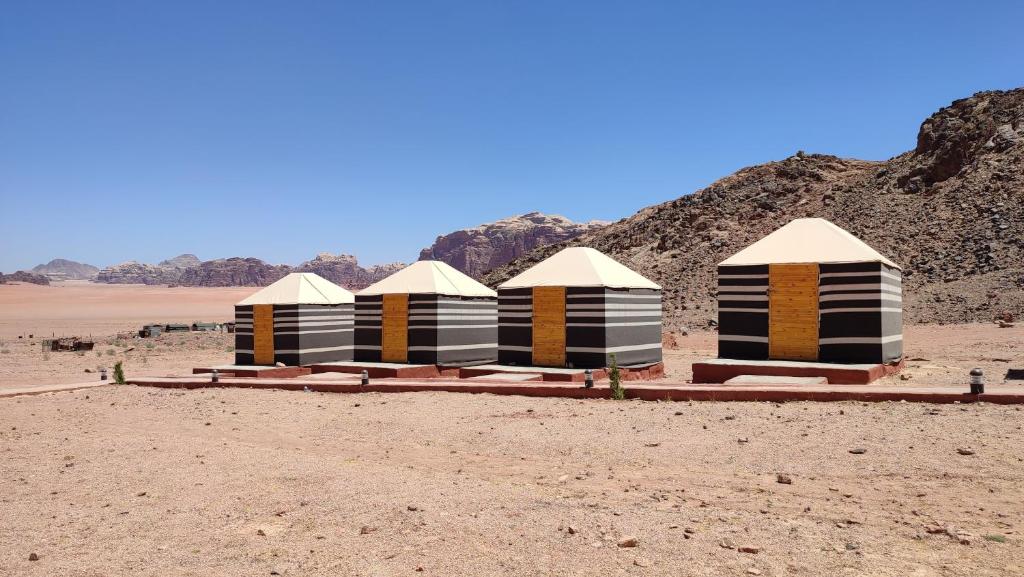a row of four tents in the desert at Wadi Rum Orion Camp in Wadi Rum