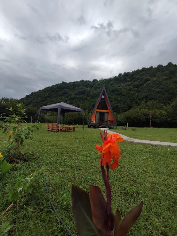 Zahrada ubytování Canyon garden martvili