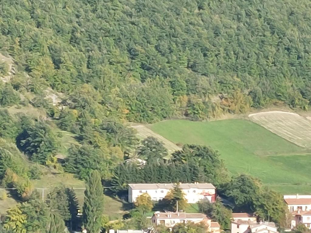 an aerial view of a house on a hill with trees at Un angolo di tranquillità 